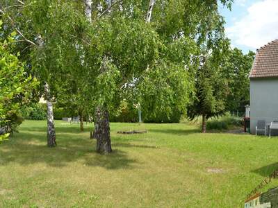Haus mit Garten kaufen in 2402 Haslau (Bild 3)