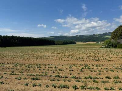 Grundstück kaufen in 9431 St. Marein