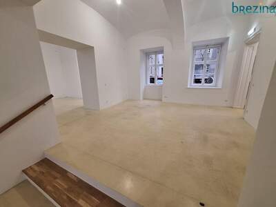 Gewerbeobjekt mieten in 1080 Wien (Bild 4)