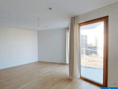 Terrassenwohnung mieten in 1100 Wien (Bild 1)