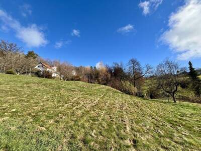 Grundstück kaufen in 8301 Laßnitzhöhe (Bild 4)