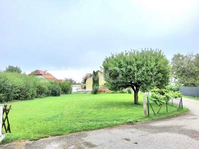 Grundstück kaufen in 4614 Marchtrenk