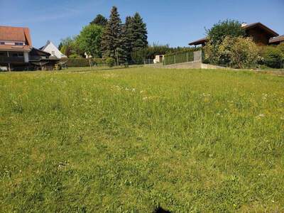 Grundstück kaufen in 8160 Weiz