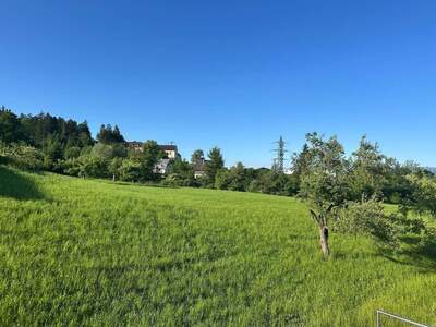 Wohnung provisionsfrei mieten in 6911 Lochau