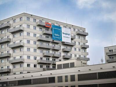 Wohnung mit Balkon mieten in 1220 Wien (Bild 5)