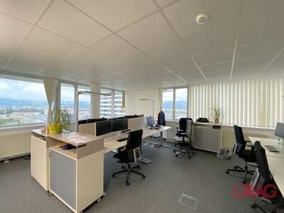 Gewerbeobjekt mieten in 4040 Linz (Bild 1)