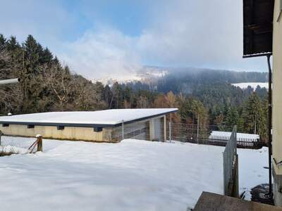 Haus kaufen in 8510 Stainz (Bild 4)