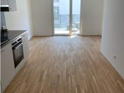 Terrassenwohnung mieten in 1220 Wien (Bild 4)