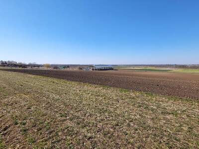 Grundstück kaufen in 2293 Marchegg