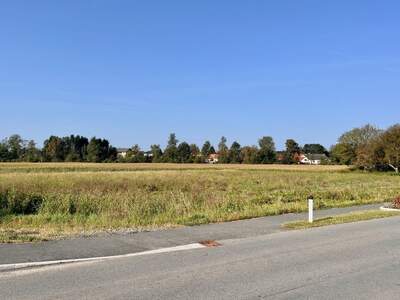 Grundstück kaufen in 7411 Markt Allhau (Bild 4)