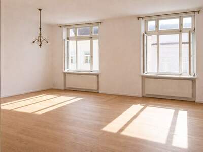 Altbauwohnung kaufen in 1190 Wien (Bild 1)