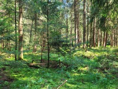 Immobilie kaufen in 83317 Teisendorf (Bild 2)