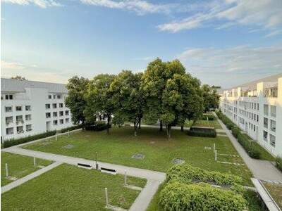 Terrassenwohnung mieten in 4020 Linz (Bild 1)