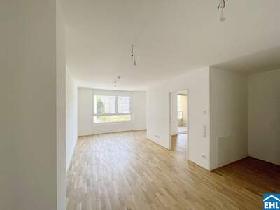 Wohnung kaufen in 1100 Wien