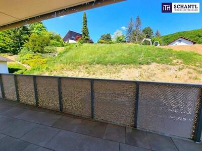 Terrassenwohnung kaufen in 2391 Kaltenleutgeben (Bild 1)