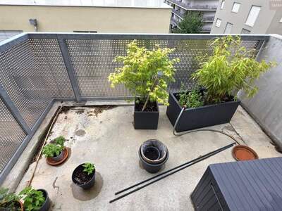 Wohnung mieten in 1110 Wien