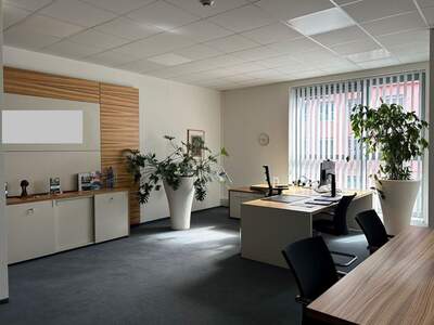 Gewerbeobjekt mieten in 8020 Graz (Bild 2)
