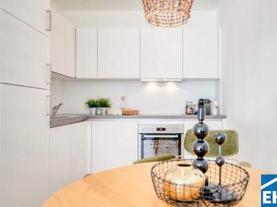 Terrassenwohnung mieten in 1030 Wien (Bild 2)