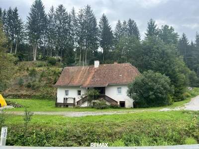 Haus kaufen in 8162 Passail