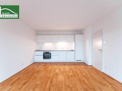 Terrassenwohnung mieten in 1210 Wien (Bild 1)