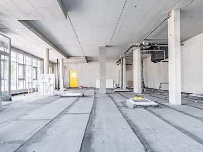 Gewerbeobjekt kaufen in 4490 St. Florian (Bild 2)