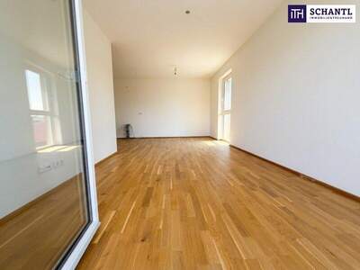 Terrassenwohnung kaufen in 8401 Kalsdorf (Bild 2)