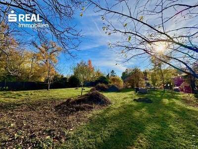 Grundstück kaufen in 2602 Blumau