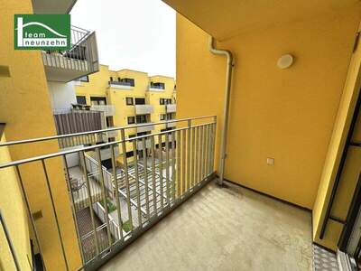 Terrassenwohnung mieten in 1210 Wien (Bild 4)