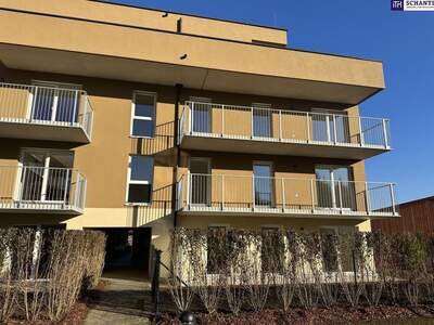 Apartment provisionsfrei mieten in 8401 Steiermark