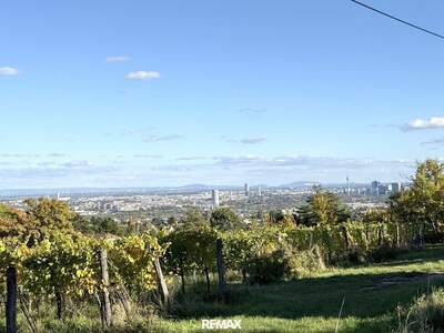 Grundstück kaufen in 1190 Wien