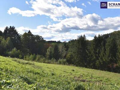 Grundstück kaufen in 8301 Laßnitzhöhe (Bild 4)