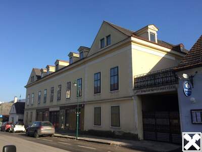 Gewerbeobjekt mieten in 2870 Aspang (Bild 2)