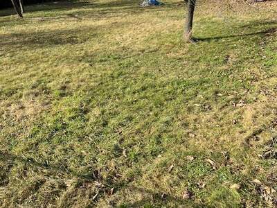 Grundstück kaufen in 2231 Strasshof (Bild 4)