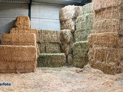 Jagd- und Forstwirtschaft kaufen in 8523 Frauental (Bild 1)