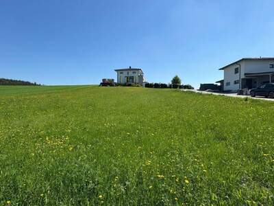 Grundstück kaufen in 4674 Altenhof (Bild 2)