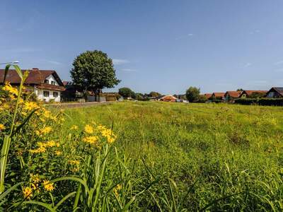 Anlageobjekt kaufen in 8472 Straß (Bild 5)