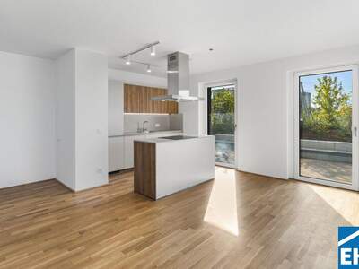 Terrassenwohnung mieten in 1200 Wien (Bild 1)