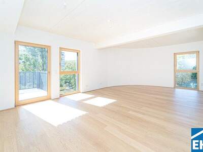 Terrassenwohnung kaufen in 2340 Mödling (Bild 2)