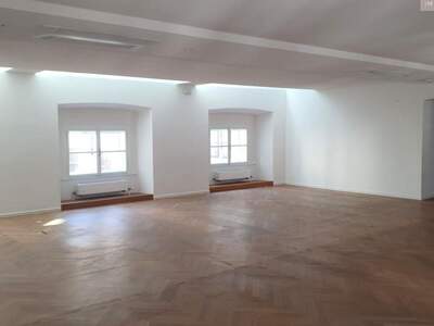 Gewerbeobjekt mieten in 1010 Wien (Bild 1)