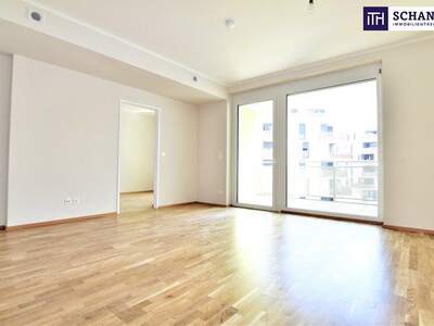 Terrassenwohnung mieten in 2320 Schwechat (Bild 5)