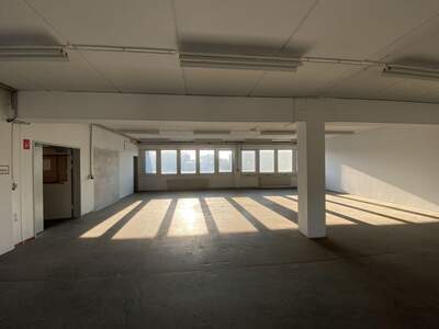 Gewerbeobjekt mieten in 1230 Wien (Bild 2)