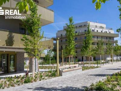 Terrassenwohnung kaufen in 1210 Wien (Bild 4)