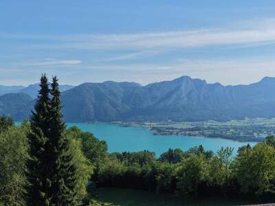 Grundstück kaufen in 5310 Innerschwand
