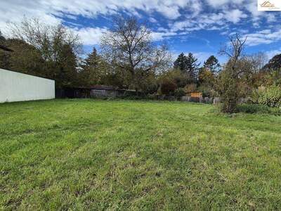 Grundstück kaufen in 2824 Seebenstein