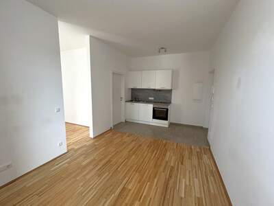 Altbauwohnung mieten in 4040 Linz (Bild 2)