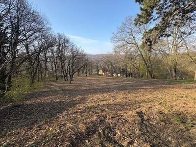 Grundstück kaufen in 3400 Klosterneuburg (Bild 2)