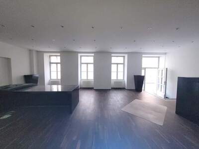 Gewerbeobjekt mieten in 1060 Wien
