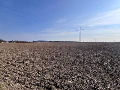 Grundstück kaufen in 4975 Suben