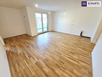 Terrassenwohnung kaufen in 1220 Wien (Bild 3)