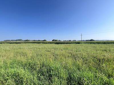 Grundstück kaufen in 4775 Taufkirchen